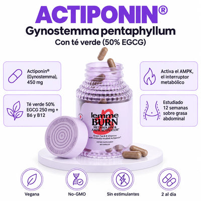 Lemme Burn - Activador de AMPK